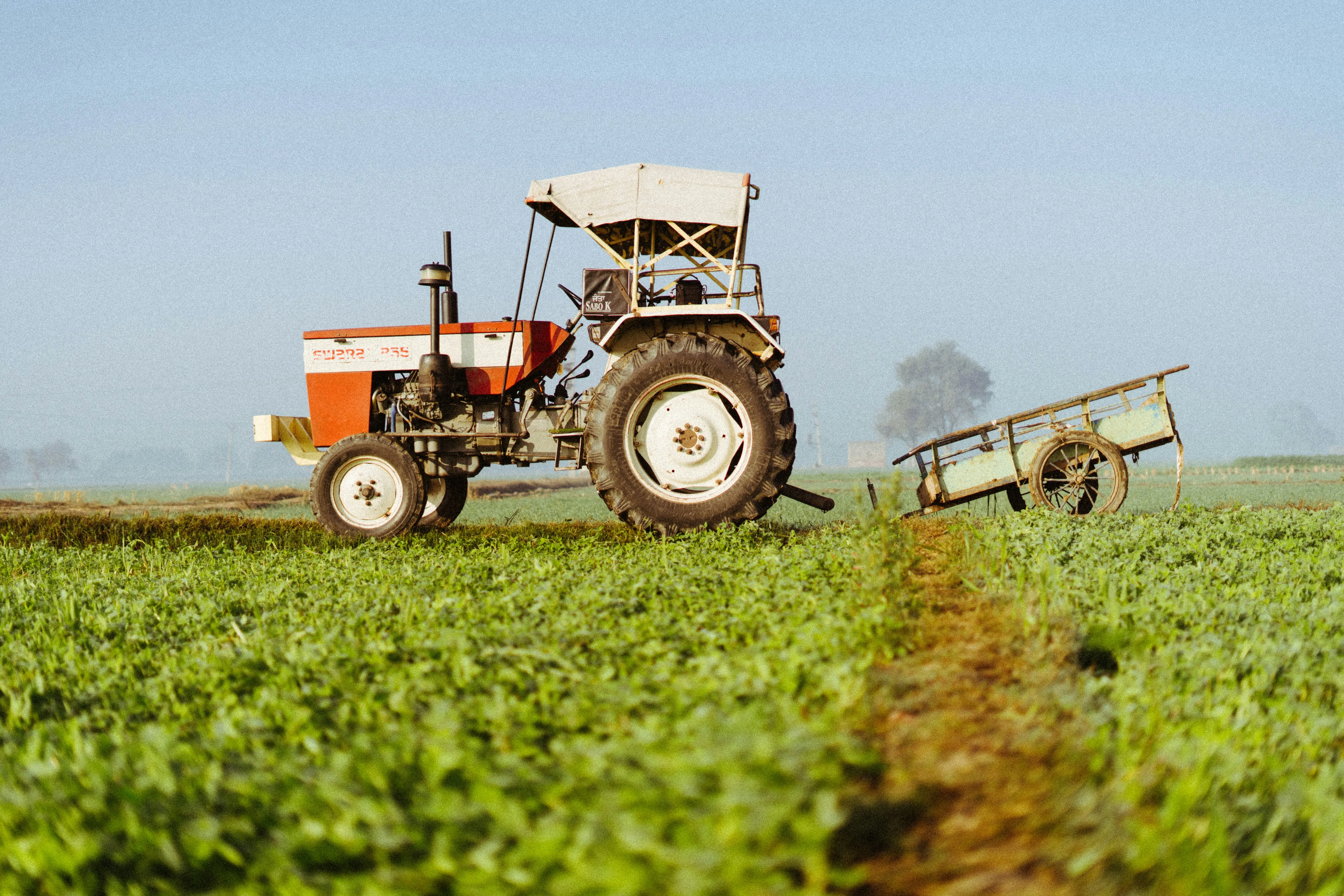 Agriculture, Food & Beverage