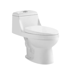 Siphonic One Piece Toilet