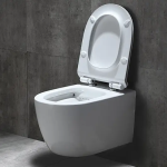 European ceramic modern sanitary ware houseware wall hung commode rimless wall mounted toilets pan matte color EWC toilet